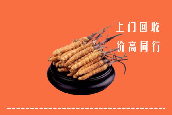 陇南回收冬虫夏草