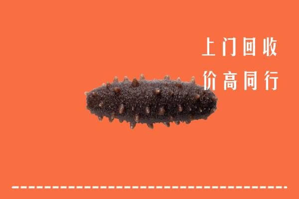 陇南回收海参